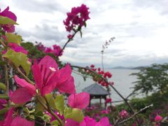 -南诏风情岛