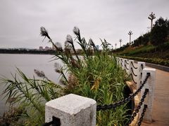 -安宁市宁湖森林公园