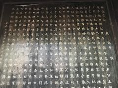 -子昂故里文化旅游区