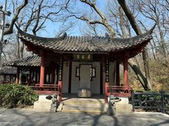 -句容茅山景区