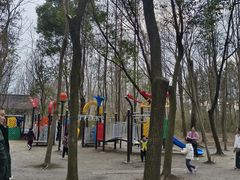 -溱湖国家湿地公园