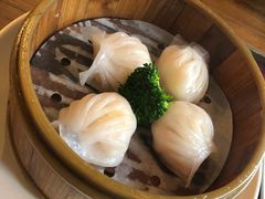 水晶鲜虾饺-香港新曜记茶餐厅(星耀城店)