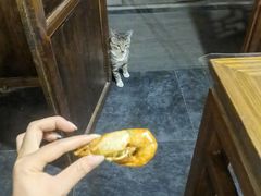 -竹吟山房