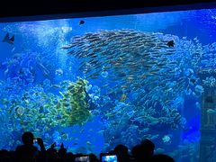 -哈尔滨波塞冬海底世界