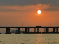 -宝安西湾红树林湿地公园