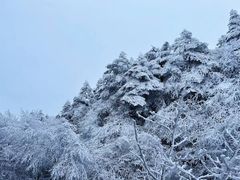 -峨眉山风景名胜区