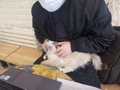 -平行世界·猫咖(首经贸店)