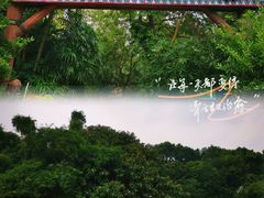 -广州长隆野生动物世界