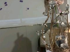 -PARFUM FLORAL花境法餐(南京首店)