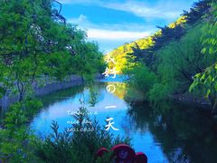 -金龙寺国家森林公园