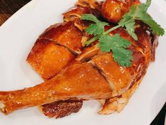 -熠盛粤味·顺德桑拿鸡(永康路店)