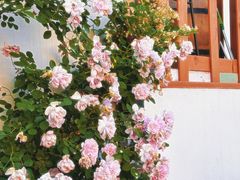-三仟津花园咖啡馆