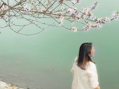 -羊山湖公园