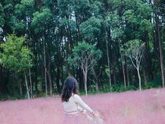 -昆山城市生态森林公园