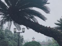 -四川大学(华西校区)