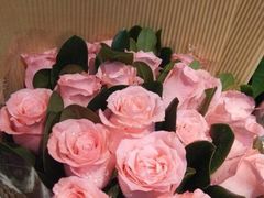 -FEI FEI FLOWER鲜花店·气球派对·宝宝宴布置(虹口德必运动Loft店)
