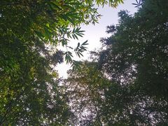 -福道