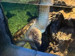 -沈阳海洋探索中心