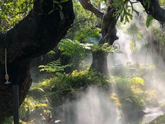 -Chom Cafe and Restaurant