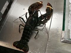 -超级物种·波龙工坊(国贸店)