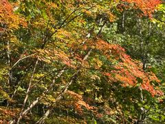 -五女峰国家森林公园