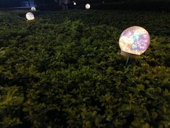 -探鱼·鲜青椒爽麻烤鱼(北京路天河城店)