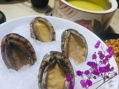 鲜活鲍鱼-豆捞坊(金桥店)