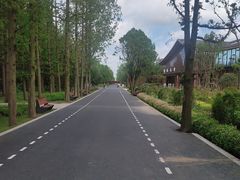 -东平国家森林公园