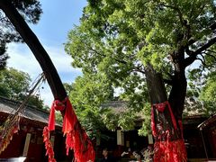-少华山国家森林公园
