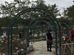 -东莞植物园
