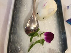 兔子布丁-席家花园(巨鹿花园店)