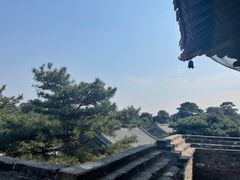 -北陵公园