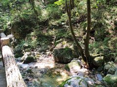 -牛背梁国家森林公园