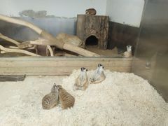 -大连森林动物园