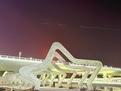 -演武大桥观景平台