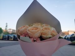 -曲阳花鸟市场(曲阳路店)