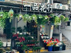 -溪岸路花鸟市场