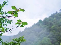-太湖源风景区