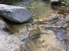 -北京密云天门山风景区
