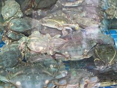 -富临港·蒸汽海鲜·手抓海鲜·炒菜(栈桥店)