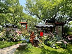 -吴山景区