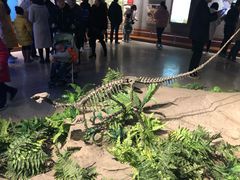 -自贡恐龙博物馆