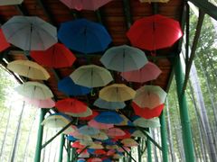 -陶祖圣境风景区