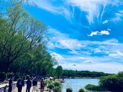 -丁香湖公园