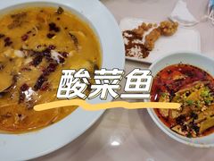 -蜀腾川·火锅鱼.烤鱼(新世界城店)
