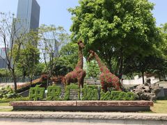 -重庆市江北嘴中央商务区中央公园