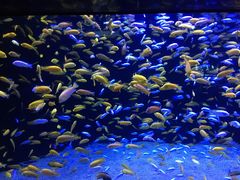 -成都浩海立方海洋公园