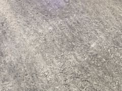 -清和园素食自助餐厅(义信堂美食城店)
