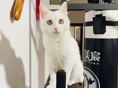 -美联众合动物医院·24h转诊中心