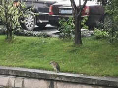 -西湖天地